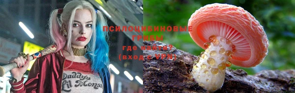 амф Абаза