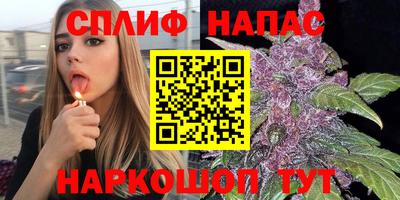 apvp Камышлов