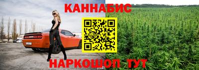 apvp Камышлов