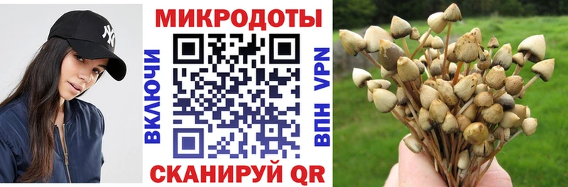 сколько стоит  Донецк  Псилоцибиновые грибы мицелий 