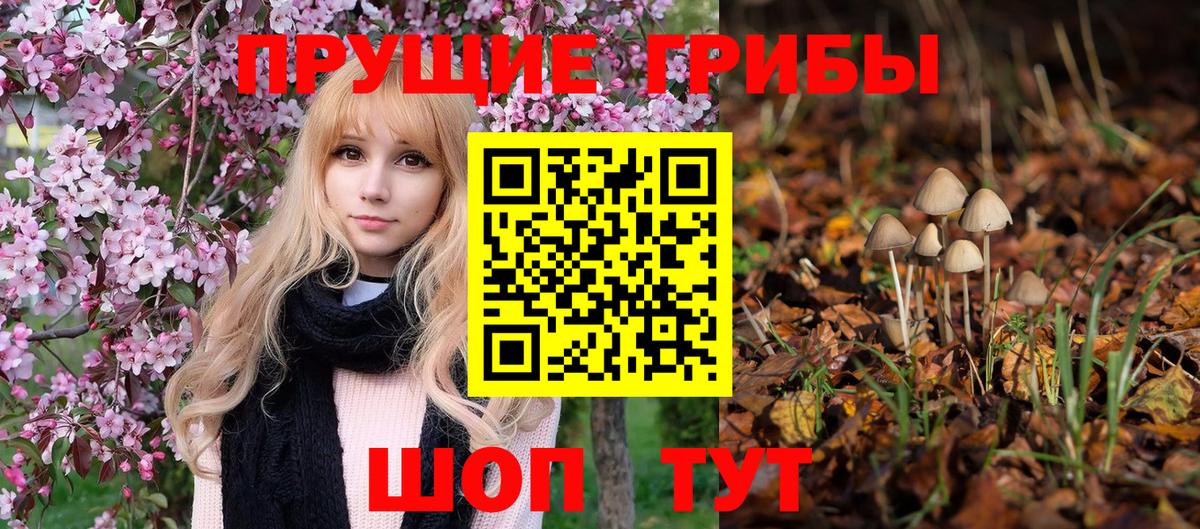 Галлюциногенные грибы Magic Shrooms  Вход с VPN  Донецк 